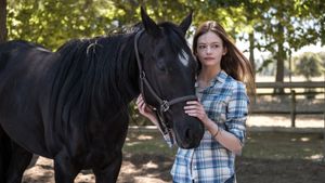 Black Beauty's poster