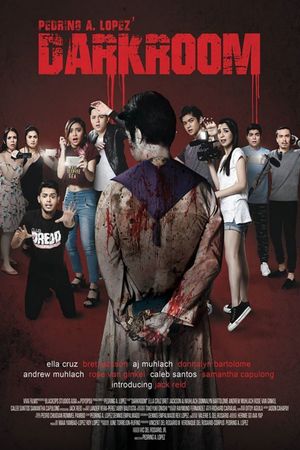 Darkroom's poster