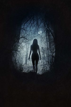 The Witch's poster