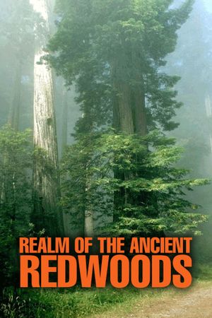 Realm of the Ancient Redwoods's poster