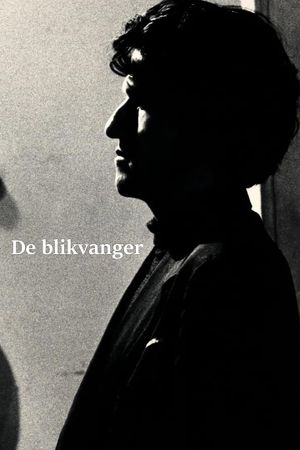 De blikvanger's poster image