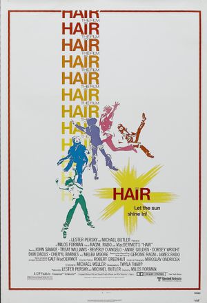 Hair's poster