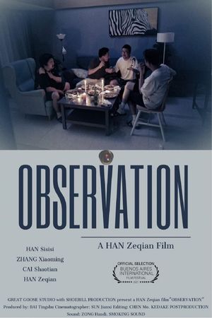 Observation's poster image