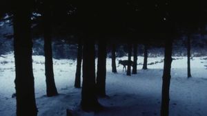 Landscape Suicide's poster