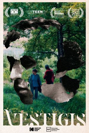 Vestigis's poster