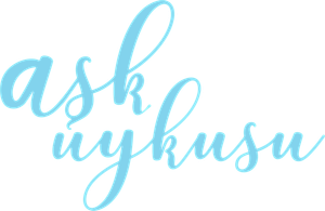 Ask Uykusu's poster