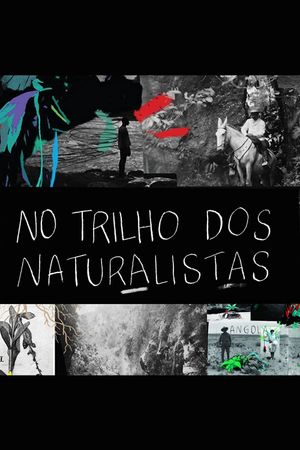 No Trilho dos Naturalistas: Angola's poster