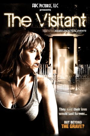 The Visitant's poster