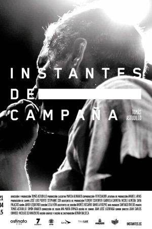 Instantes de campaña's poster