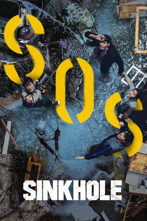 Sinkhole's poster