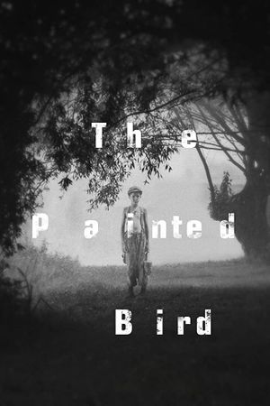 The Painted Bird's poster