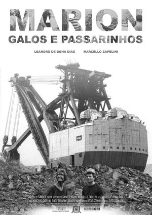 Marion, Galos e Passarinhos's poster