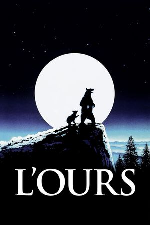 The Bear's poster
