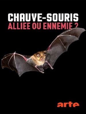 Chauve-souris: alliée ou ennemie?'s poster image