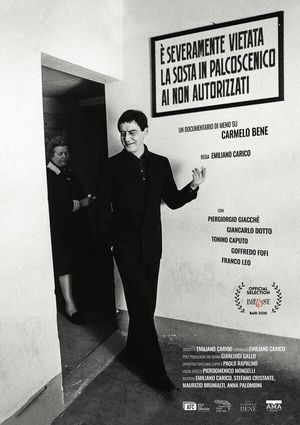 È severamente vietata la sosta in palcoscenico ai non autorizzati. Un documentario di meno su Carmelo Bene's poster
