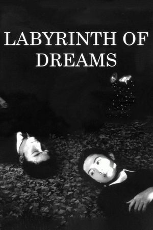 Labyrinth of Dreams's poster