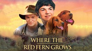 Where the Red Fern Grows's poster