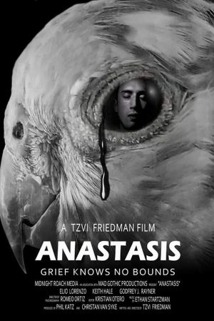Anastasis's poster