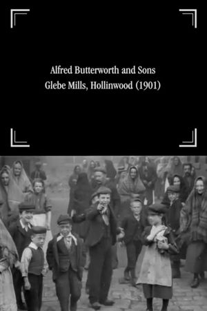 Alfred Butterworth and Sons, Glebe Mills, Hollinwood's poster