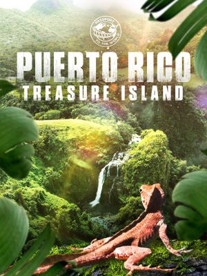 Passport To The World: Puerto Rico's poster