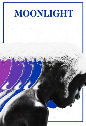 Moonlight's poster