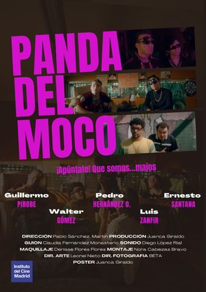 Panda del Moco's poster