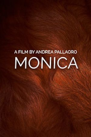 Monica's poster