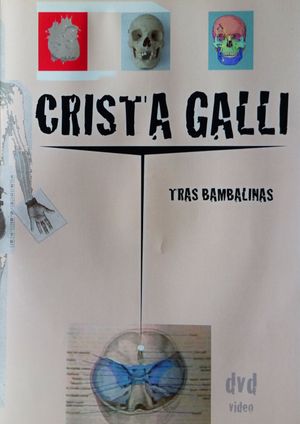 Crista Galli: Tras Bambalinas's poster image