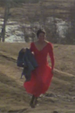 The Red Dress's poster