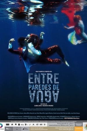 Entre paredes de agua's poster