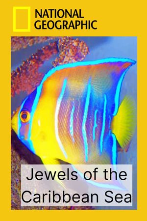 Jewels of the Caribbean Sea's poster