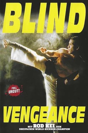 Blind Vengeance's poster
