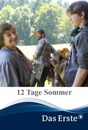 12 Tage Sommer's poster
