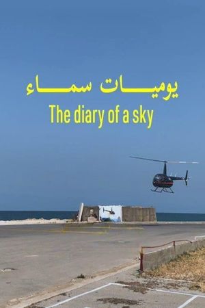The Diary of a Sky's poster