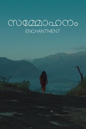 Sammohanam's poster