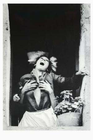 The Howl's poster