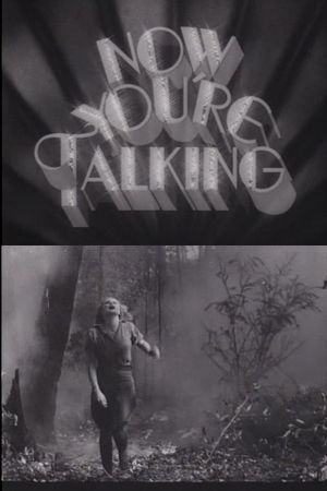 Now You're Talking's poster