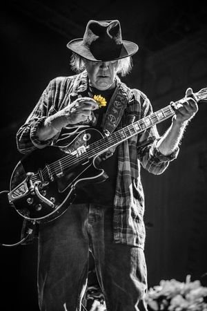 Neil Young + The Promise of the Real: Noise & Flowers's poster