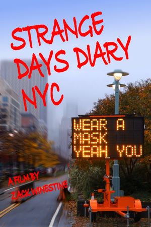 Strange Days Diary NYC's poster