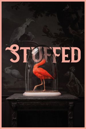 Stuffed's poster