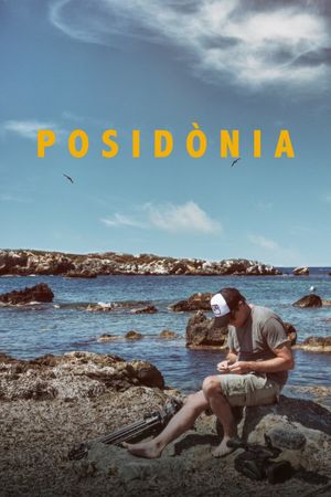 Posidònia's poster