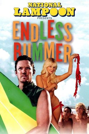 Endless Bummer's poster