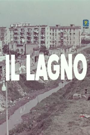 Il lagno's poster image