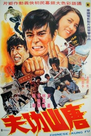 Shaolin Long Arm's poster