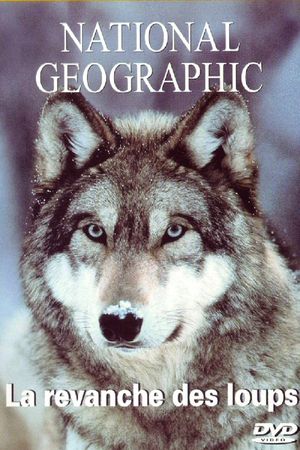 In the Valley of the Wolves's poster