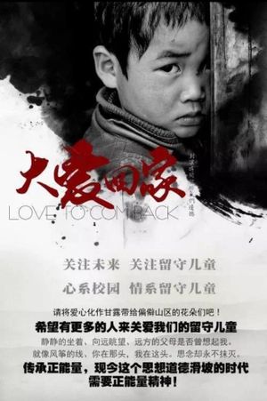 大爱回家's poster