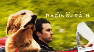 The Art of Racing in the Rain's poster