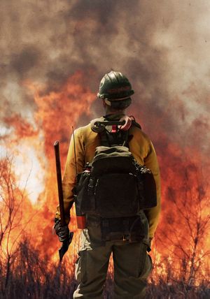Only the Brave's poster