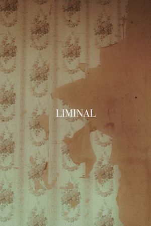 LIMINAL's poster