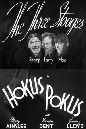 Hokus Pokus's poster